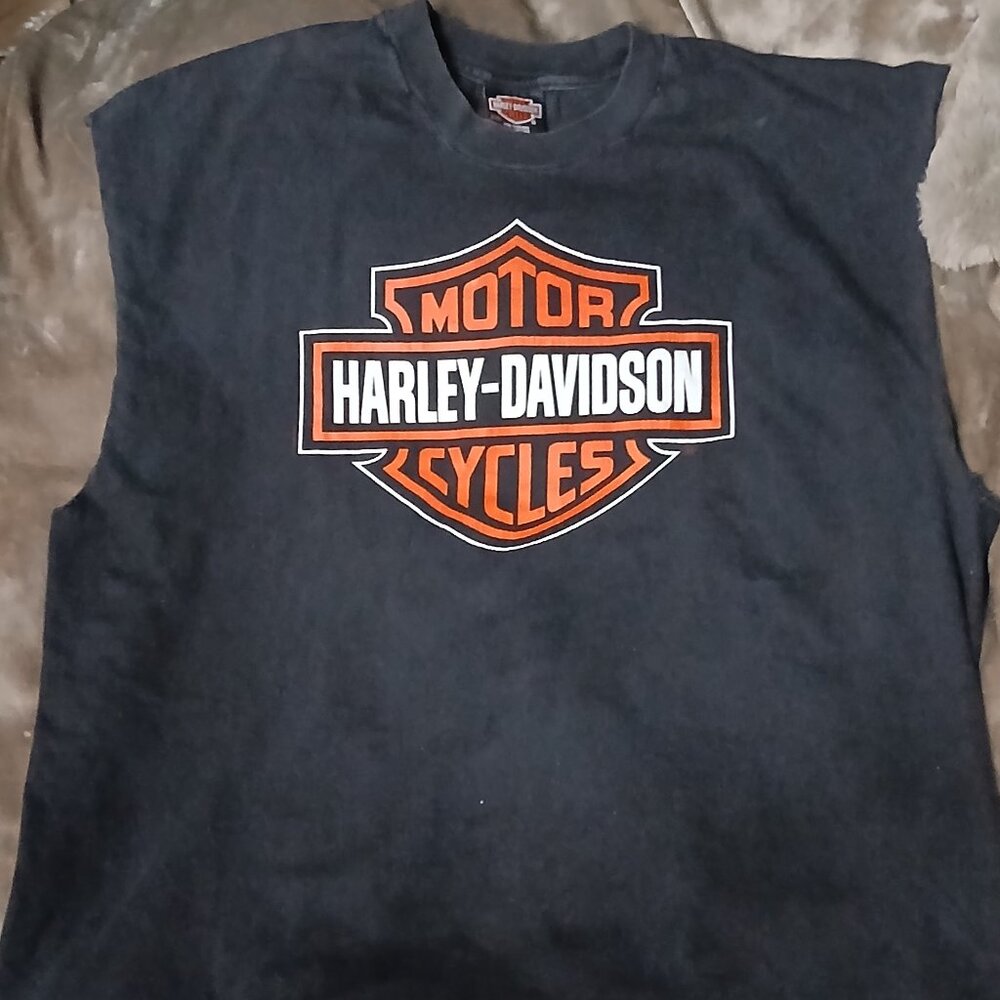 Vintage Sleeveless Graphic Harley Davidson Shirt, XXL